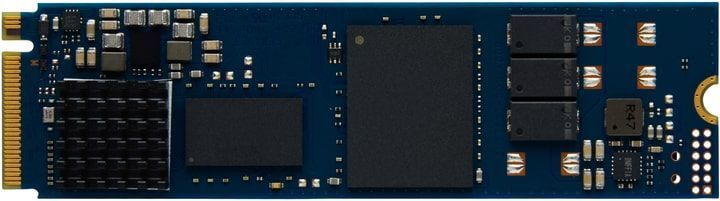 Kingston Накопитель SSD M.2 480GB PCIe 4.0 DC2000B SEDC2000BM8/480G фото