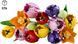 LEGO Конструктор LEGO Botanicals Букет тюльпанів 2 - магазин Coolbaba Toys
