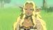 Games Software Гра консольна Switch 2 HYRULE WARRIORS AGE OF IMPRISONMENT, картридж 19 - магазин Coolbaba Toys