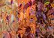 GoodLoot Puzzle GoodLoot Imagination: Karolina Matyjaszkowicz In the Avian Thicket Triptych 1000 8 - магазин Coolbaba Toys
