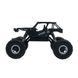 Автомобиль OFF-ROAD CRAWLER на р/у – TIGER (матовый черный, аккум. 4,8V, метал. корпус, 1:18) 5 - магазин Coolbaba Toys