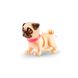Интерактивный щенок PETS ALIVE - ИГРИВЫЙ МОПС 3 - магазин Coolbaba Toys