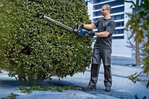 Bosch Кущоріз акумуляторний GHE 18V-60 18В 60мм крок різу 23мм 2.3кг без АКБ та ЗП 0.600.8C9.000 фото