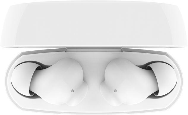Belkin Навушники TWS Soundform Rhythm True Wireless, білий AUC012BTWH фото