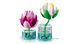 LEGO Конструктор LEGO Botanicals Латаття 5 - магазин Coolbaba Toys