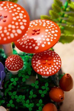 LEGO Конструктор LEGO Botanicals Лісові гриби 11505 фото