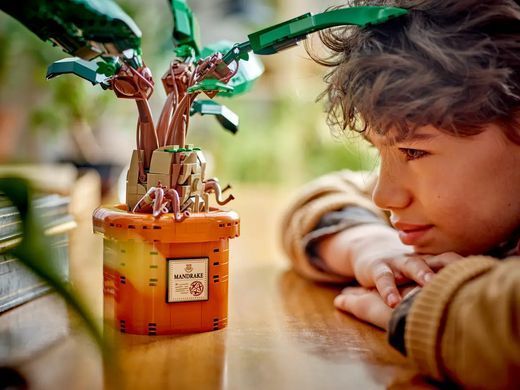 LEGO Конструктор Harry Potter Корень мандрагоры 76433 фото