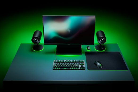 Razer Ігрова поверхня Gigantus V2 L Black (450x400x3мм) RZ02-03330300-R3M1 фото