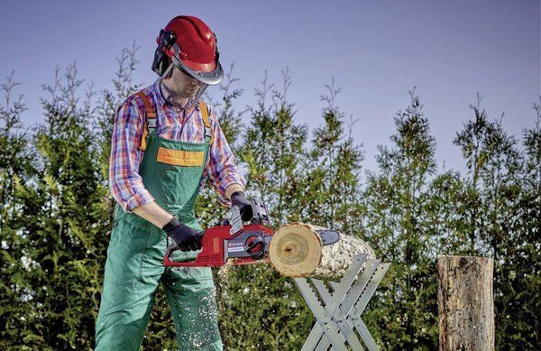 Einhell Пила ланцюгова FORTEXXA 18/30 X-CHANGE 4600010 4600010 фото