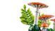 LEGO Конструктор LEGO Botanicals Лісові гриби 5 - магазин Coolbaba Toys