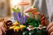 LEGO Конструктор LEGO Botanicals Лісові гриби 8 - магазин Coolbaba Toys