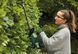 Bosch Кущоріз акумуляторний Bosch EasyHedgeCut 18-45 18В акб 1х2А&middot;год лезо 45см крок різу 15мм ЗП 3.7кг 2 - магазин Coolbaba Toys