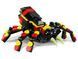 LEGO Конструктор LEGO Creator Дикі тварини: Дивовижний павук 4 - магазин Coolbaba Toys