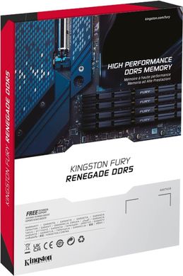 Kingston Пам'ять ПК DDR5 16GB 6800 FURY Renegade Silver XMP KF568C36RS-16 фото