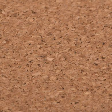 2E Килимок для миші CORK, S(300x200x2мм), коричневий 2E-PAD-S-CORK фото