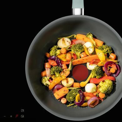 Tefal Сковорода WOK Halo EUCALYPTUS, 26 см, алюминий, бакелит, серый G0167702 фото
