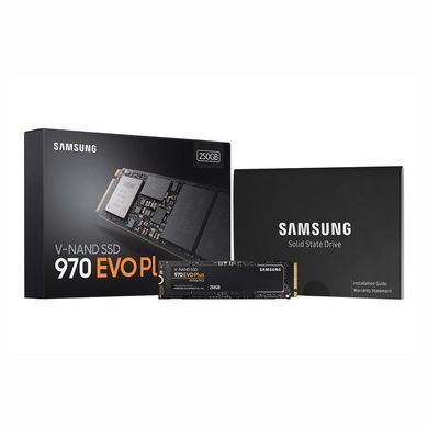 Samsung 970 EVO PLUS[MZ-V7S250BW] MZ-V7S250BW фото