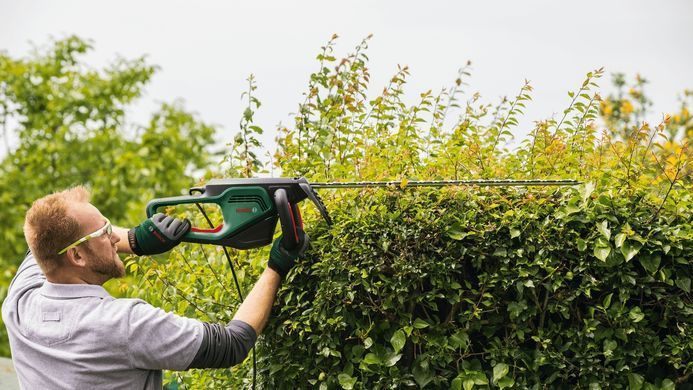 Bosch Кущоріз AdvancedHedgeCut 65 500Вт 65см крок різу 34мм 5.62 кг 0.600.8C0.801 фото