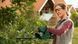 Bosch Кущоріз акумуляторний EasyHedgeCut 18V-52-13 18В лезо 52см крок різу 15мм 3.28кг без АКБ та ЗП 4 - магазин Coolbaba Toys