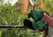 Bosch Кущоріз акумуляторний EasyHedgeCut 18V-52-13 18В лезо 52см крок різу 15мм 3.28кг без АКБ та ЗП 5 - магазин Coolbaba Toys