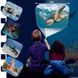 Фонарик-проектор BRAINSTORM – ЖИТЕЛИ МОРЕЙ (3 диска, 24 картинки) 3 - магазин Coolbaba Toys