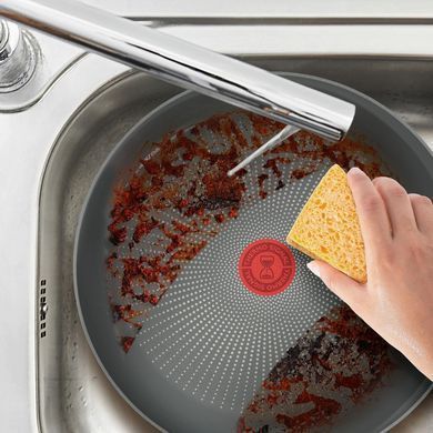 Tefal Сковорода Halo EUCALYPTUS, 30 см, алюминий, бакелит, серый G0160702 фото
