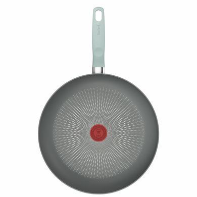 Tefal Сковорода Halo EUCALYPTUS, 30 см, алюминий, бакелит, серый G0160702 фото