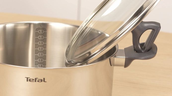 Tefal Кастрюля Daily Cook с крышкой, 24см, нержавеющая сталь, алюминий, бакелит G7124645 фото