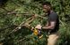 DeWALT cordless chain saw brushless 18V XR Li-lon 8.6m/s bar 20cm 2.1kg without battery and ZP 13 - магазин Coolbaba Toys