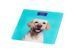 ARDESTO Весы напольные DOG, 150кг, 2хААА в компл, стекло, разноцветные 3 - магазин Coolbaba Toys
