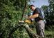 DeWALT cordless chain saw brushless 18V XR Li-lon 8.6m/s bar 20cm 2.1kg without battery and ZP 16 - магазин Coolbaba Toys